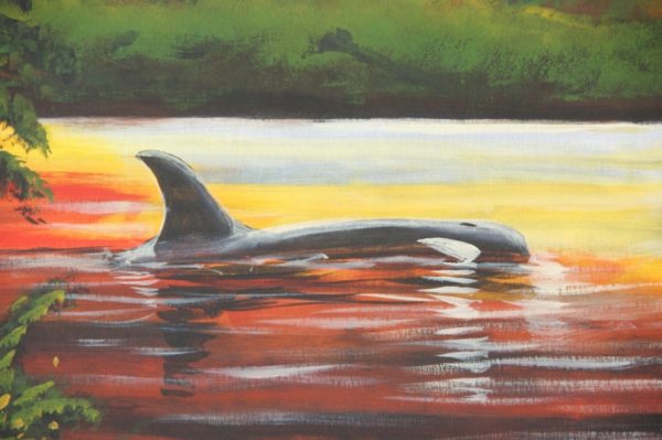 Killer Whale and Sunset