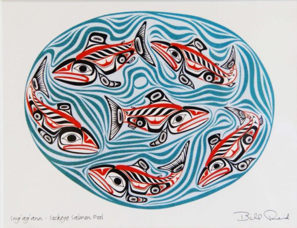 Sockeye Salmon - Image 2