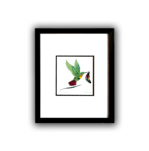 Green Hummingbird