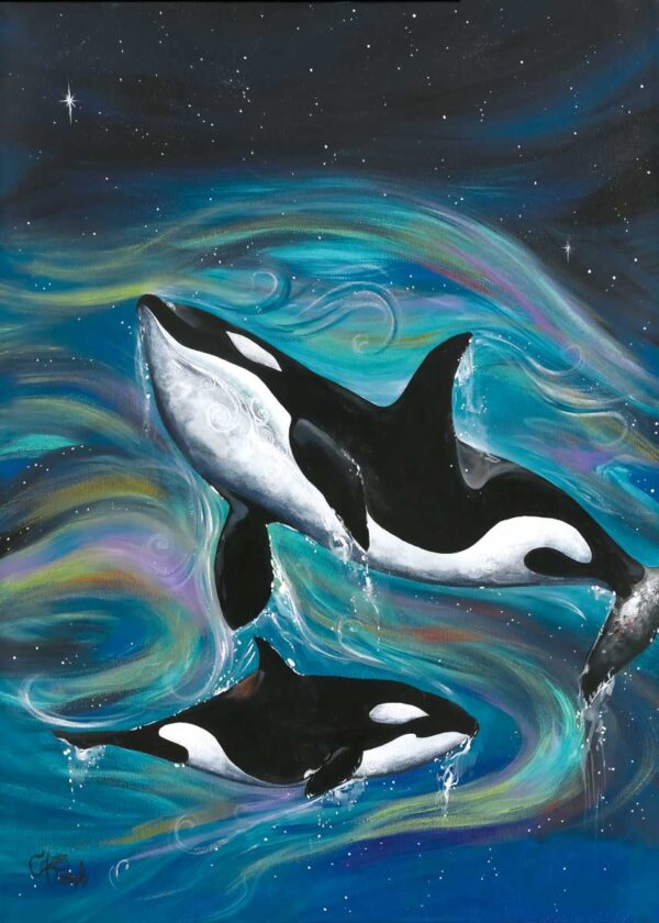 Killer Whales - Image 3