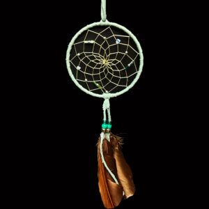 4"  Sage Dream Catcher
