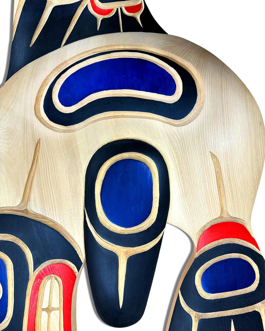 Killer Whale - Image 5